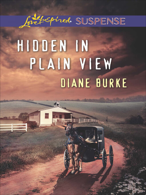 Title details for Hidden in Plain View by Diane Burke - Available
